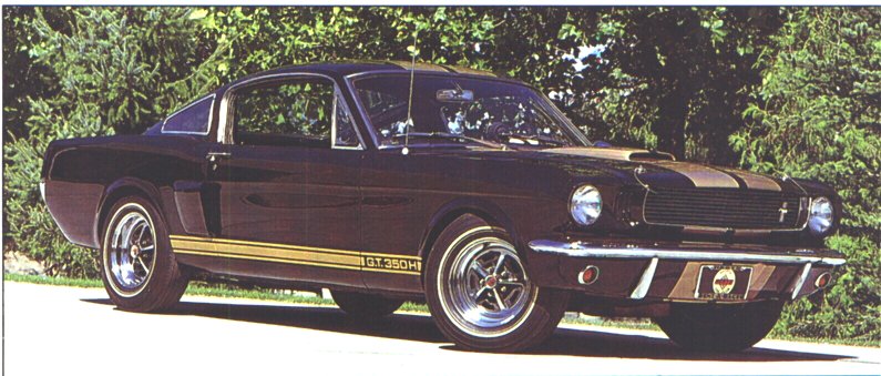 gt350h2.jpg (85697 bytes)